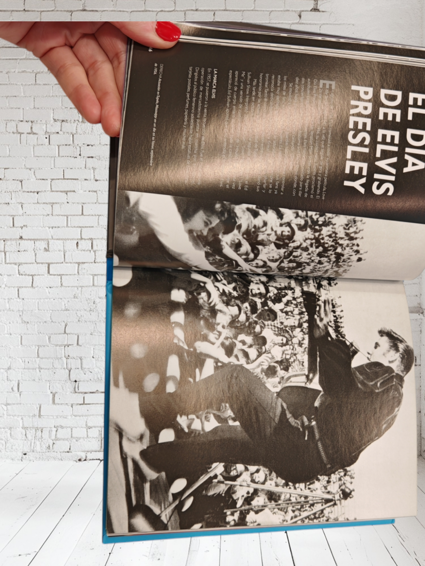 Elvis (una vida increíble)