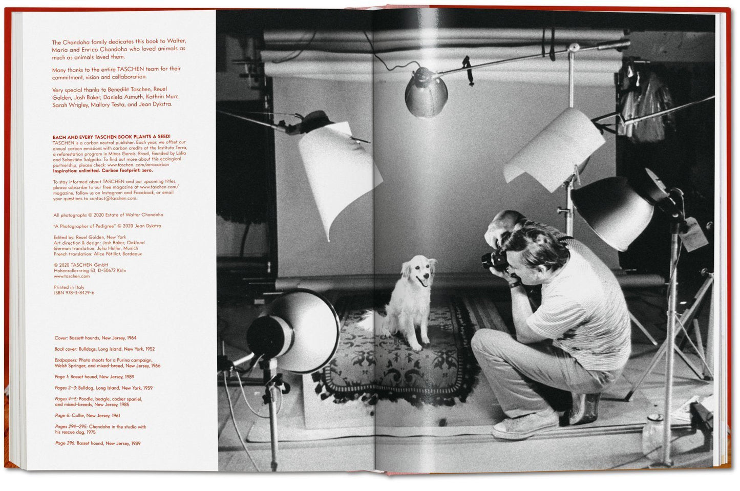 Walter Chandoha. Dogs. Photographs 1941–1991 DEIMOTIV