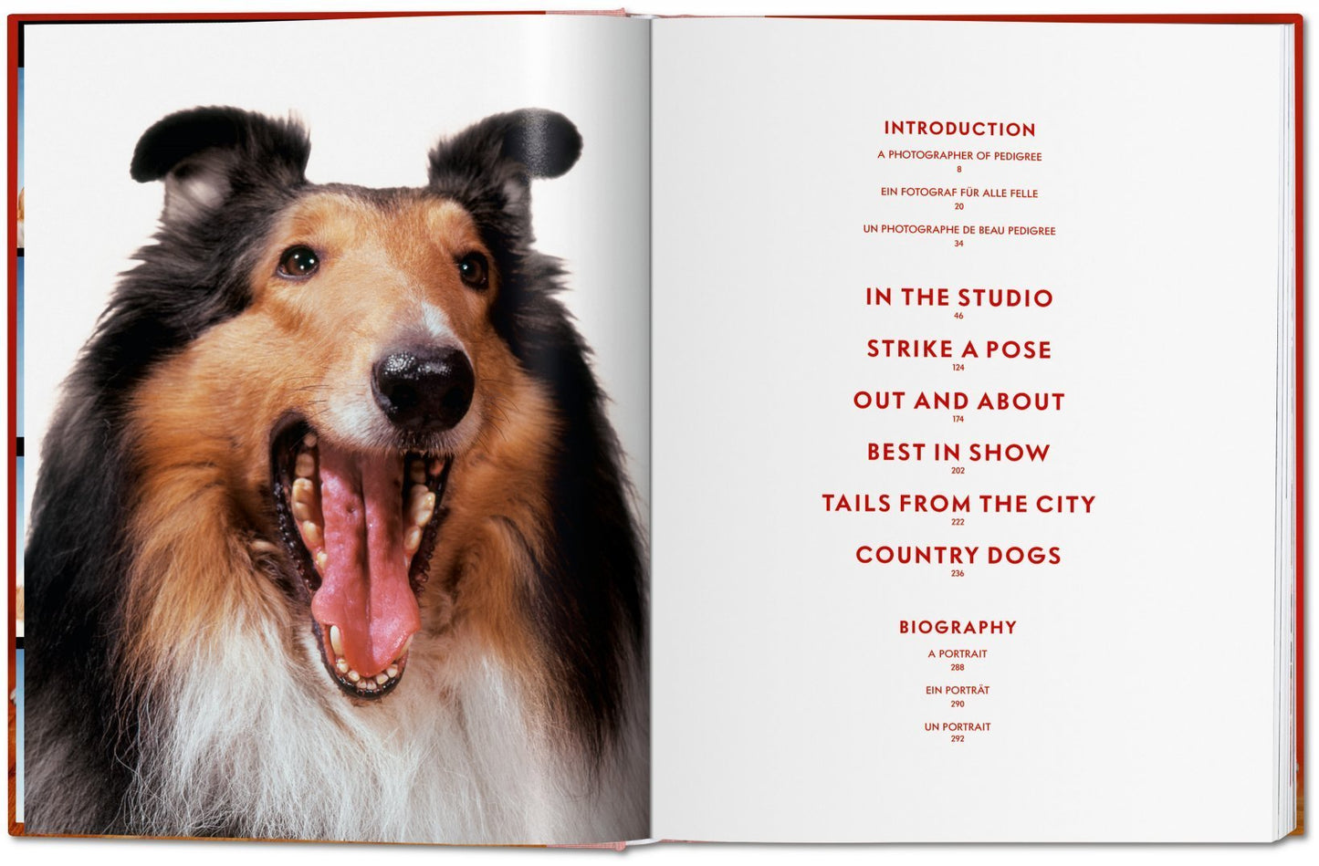 Walter Chandoha. Dogs. Photographs 1941–1991 DEIMOTIV