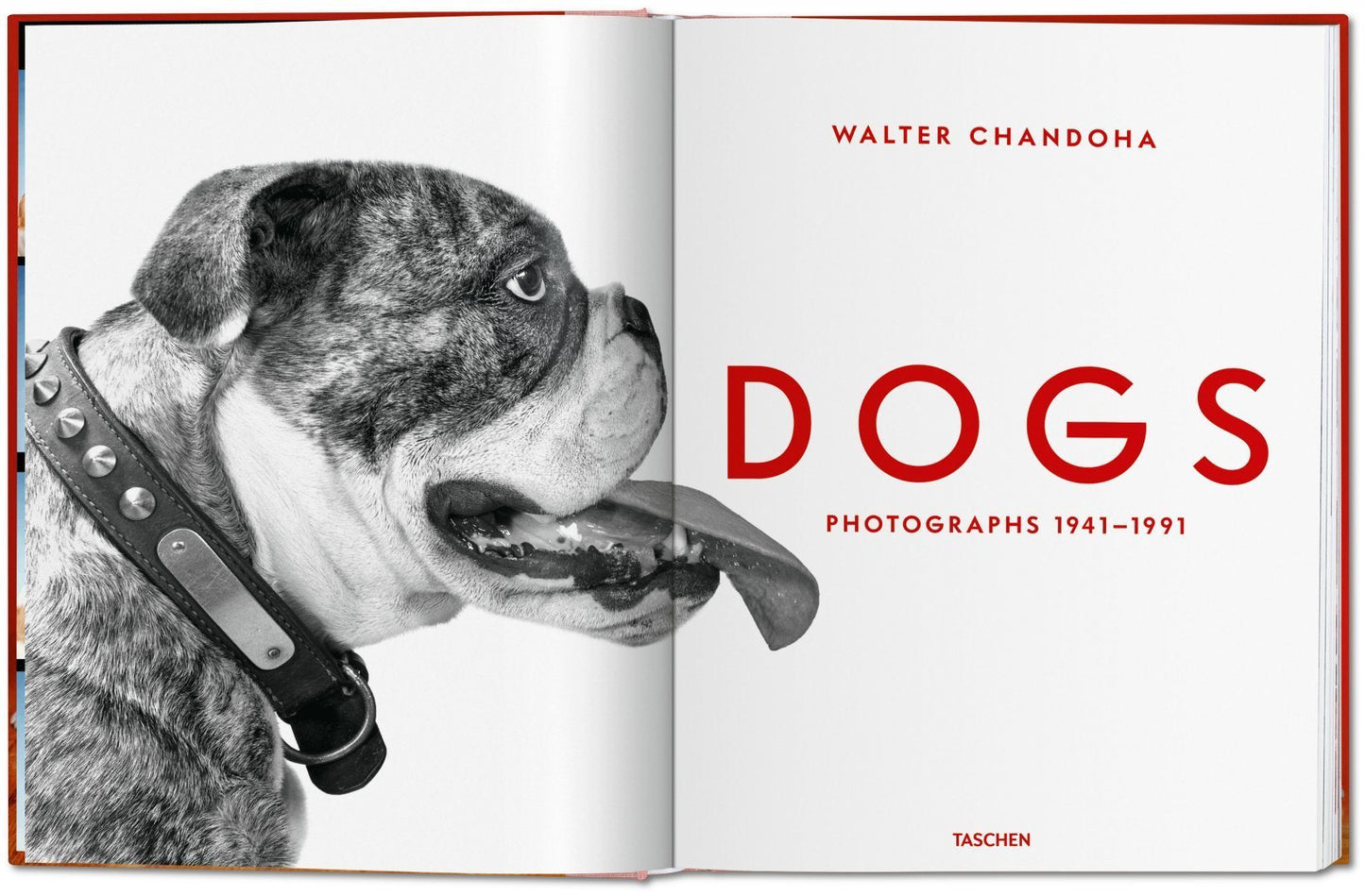 Walter Chandoha. Dogs. Photographs 1941–1991 DEIMOTIV