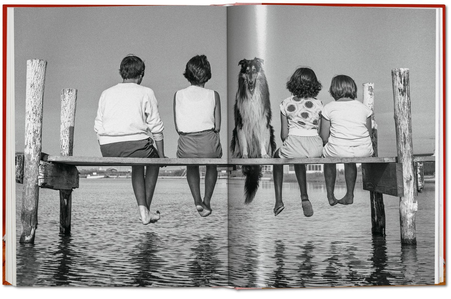 Walter Chandoha. Dogs. Photographs 1941–1991 DEIMOTIV