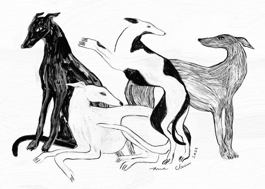 Ana Clerici lamina  (Los Galgos)