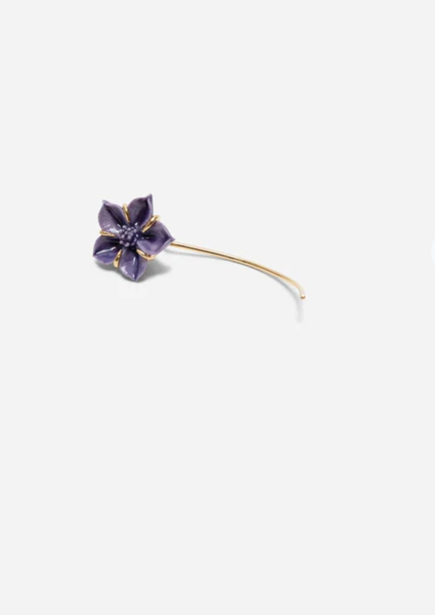 Mini petunias Single